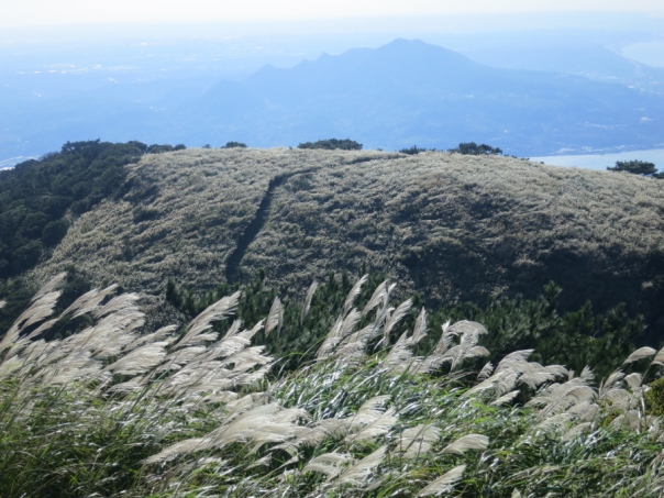 Mt. Miantian 面天山 is a great place to see silver grass, mountains, and even the sea!